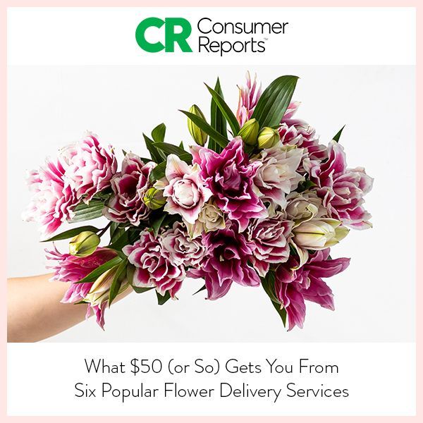 Consumer Reports thumbnail