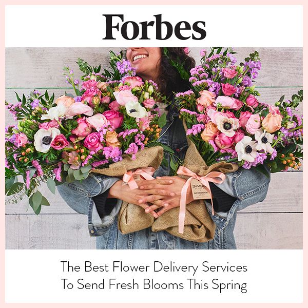 Forbes thumbnail