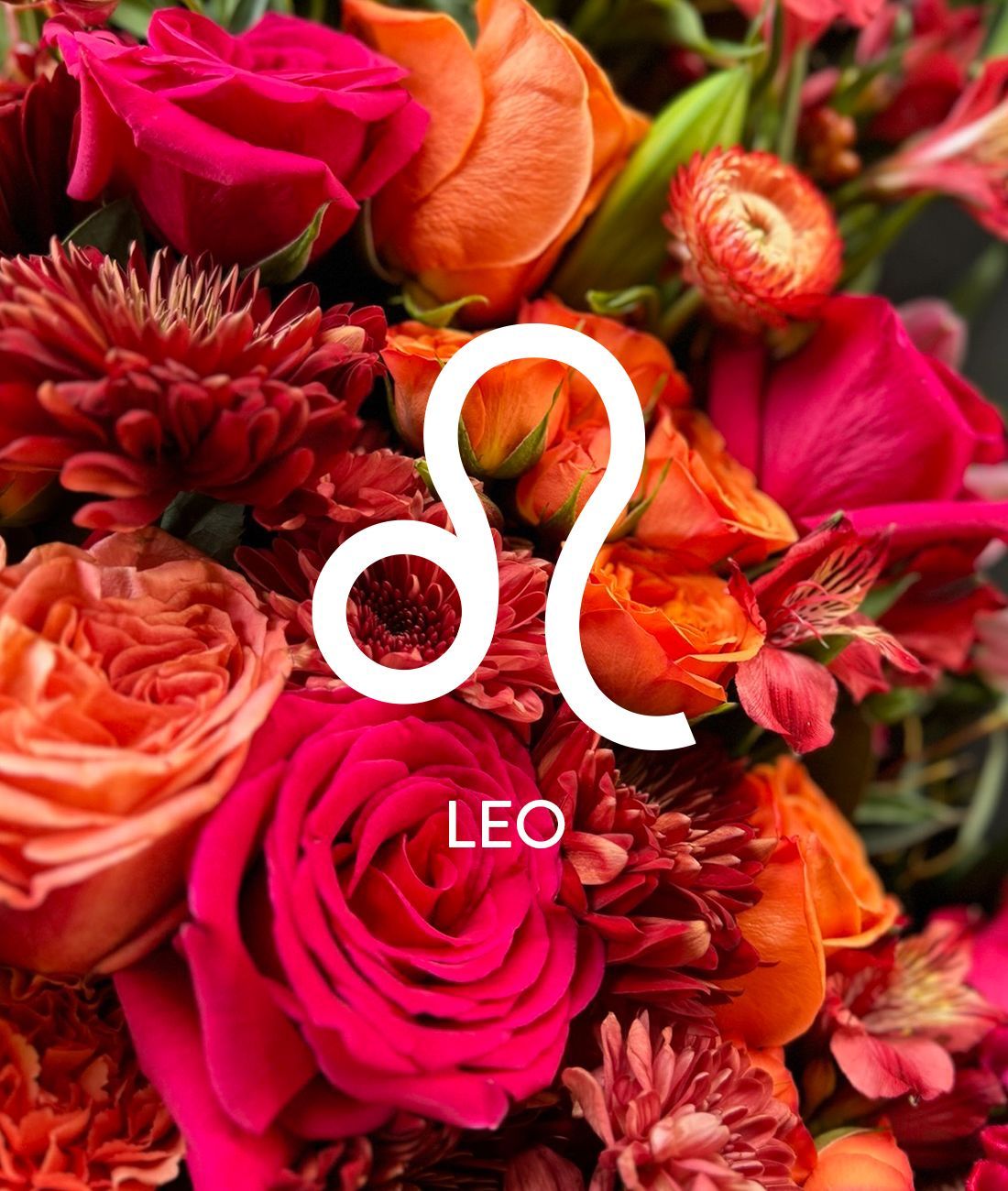 It's LEO Season And We've Got Birthday Florals For Your Favorite Leo. thumbnail