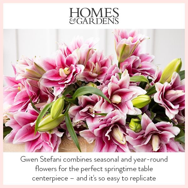 Homes & Gardens thumbnail
