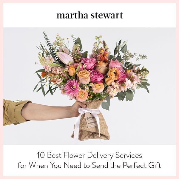 Martha Stewart thumbnail