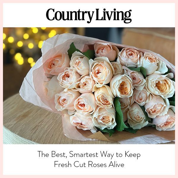 Country Living thumbnail