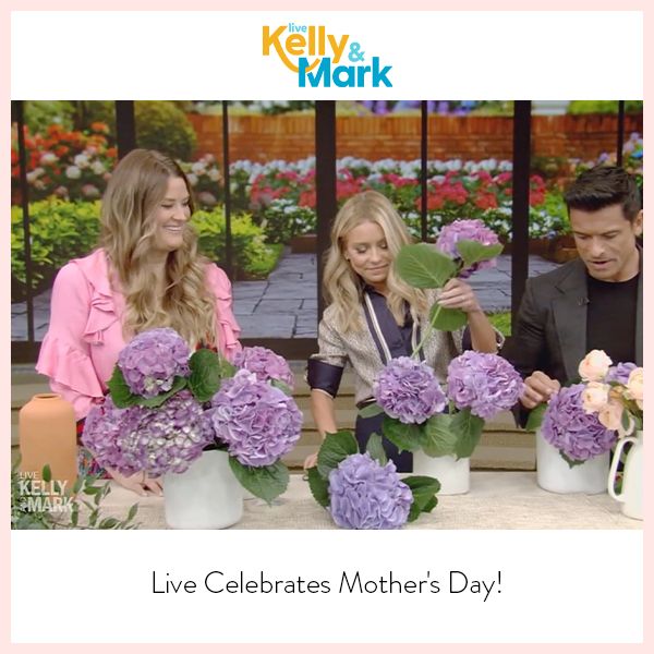 Live with Kelly & Mark thumbnail