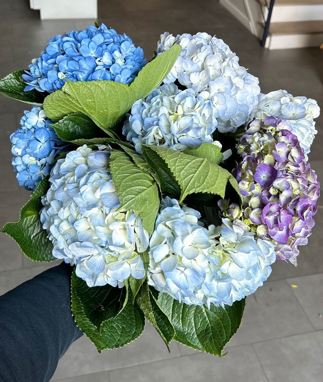 We Tested Three Ways To Keep Hydrangeas From Wilting... Here’s What Happened! thumbnail