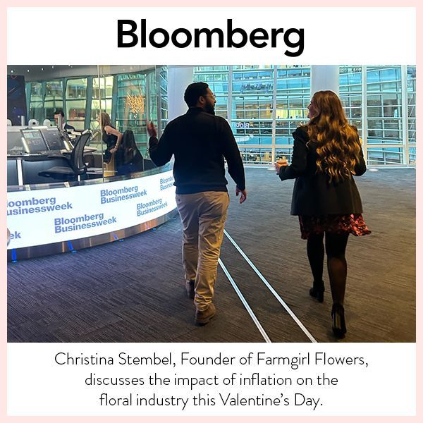 Bloomberg thumbnail