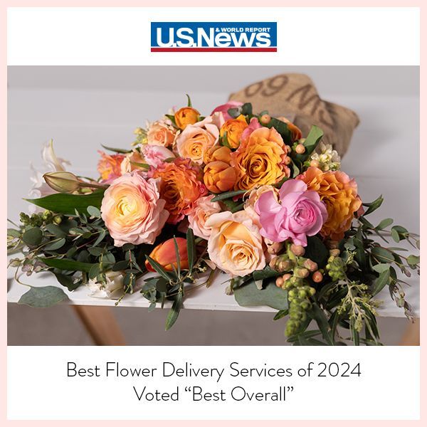 US News thumbnail