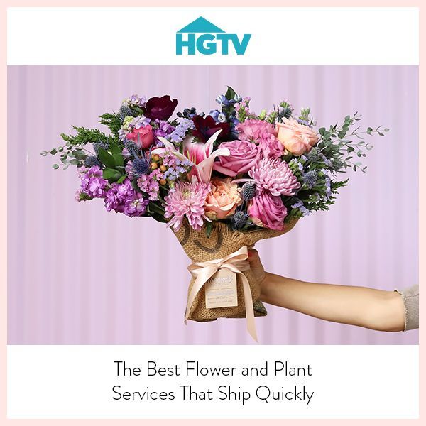 HGTV thumbnail